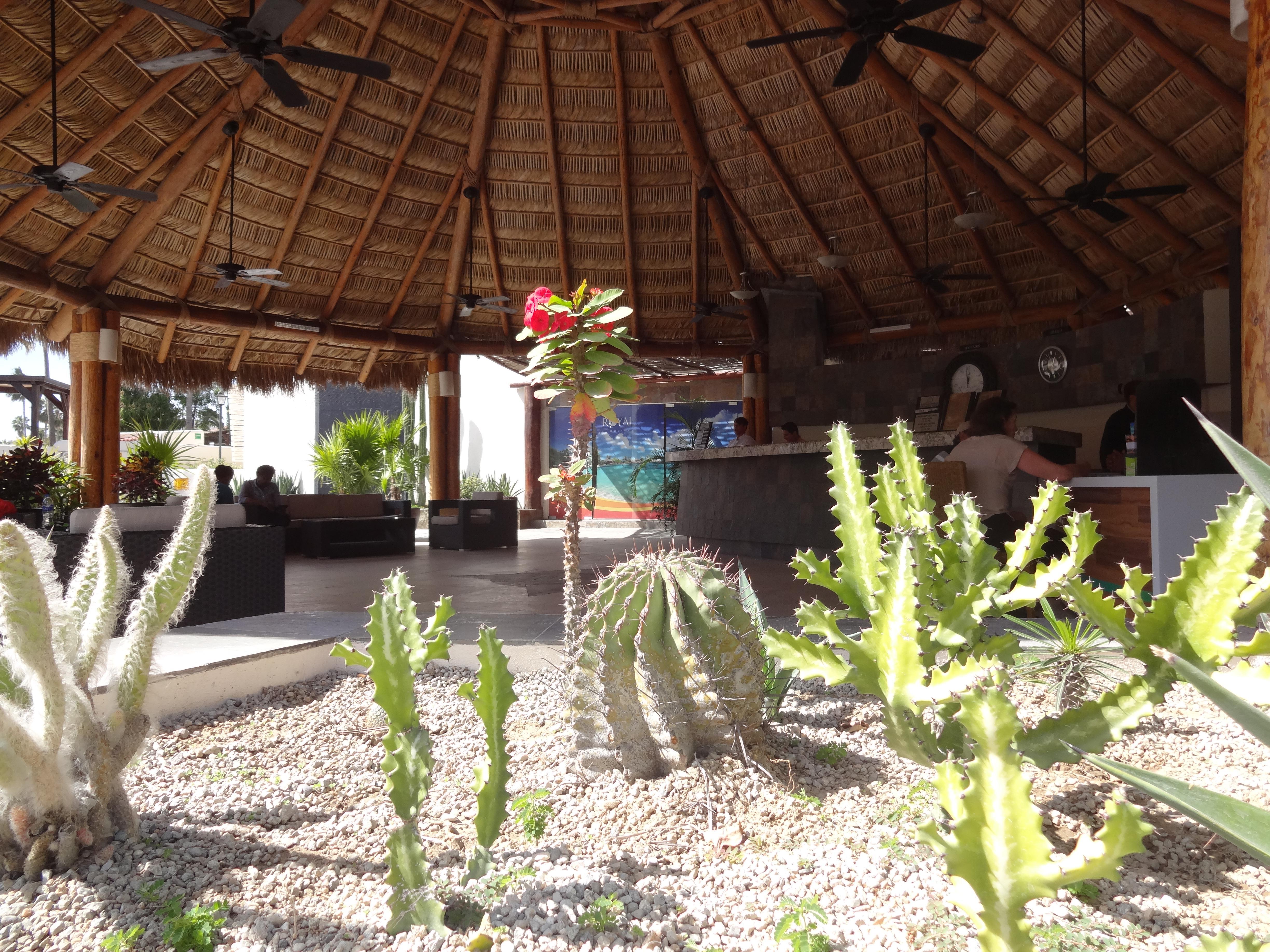 Park Royal Homestay Los Cabos San José del Cabo Eksteriør billede
